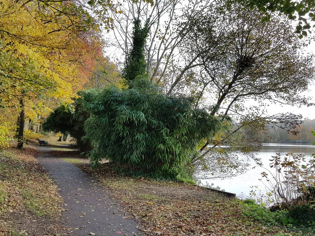 Children's Playground