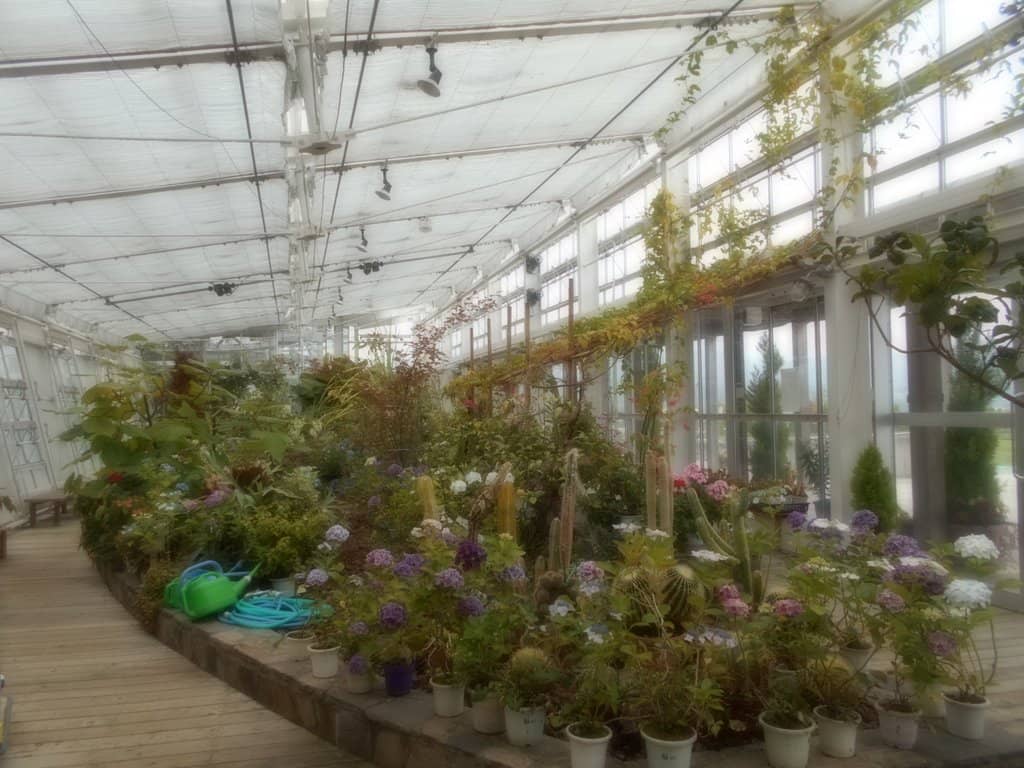 Scenic Orchard Views