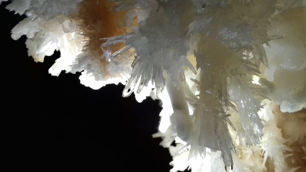 The Crystal Chandelier