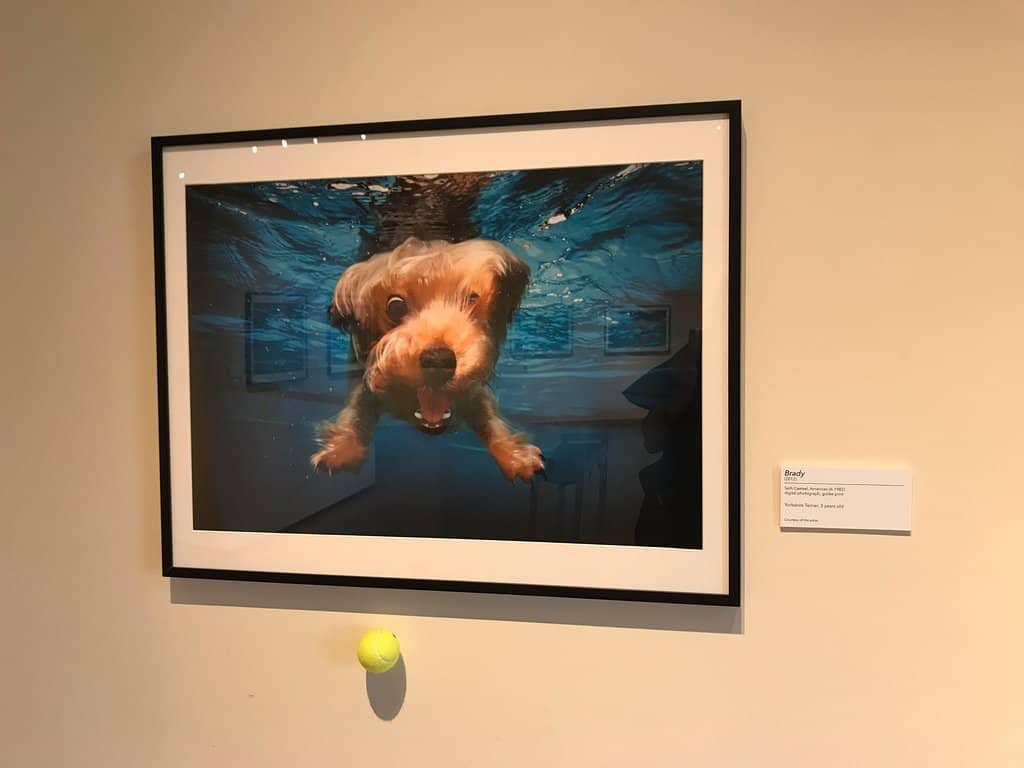 Themed Mural Districts