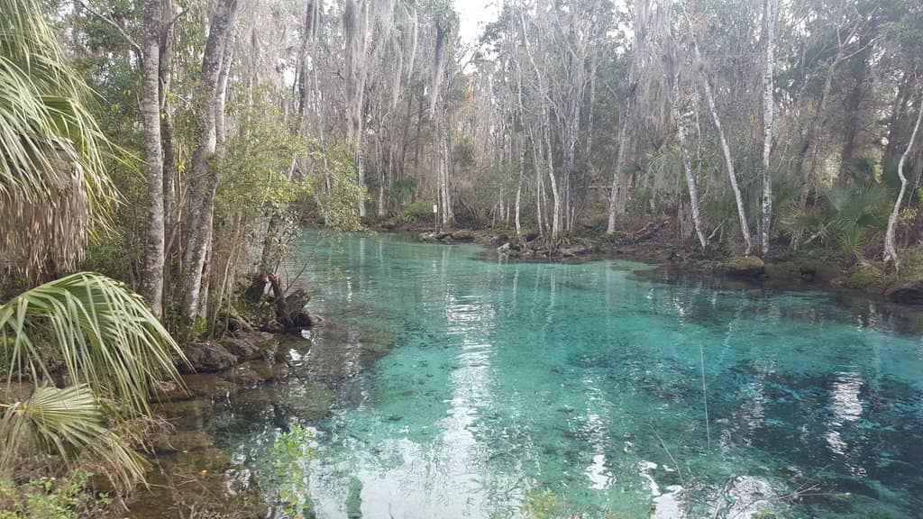 Kayaking & Paddleboarding