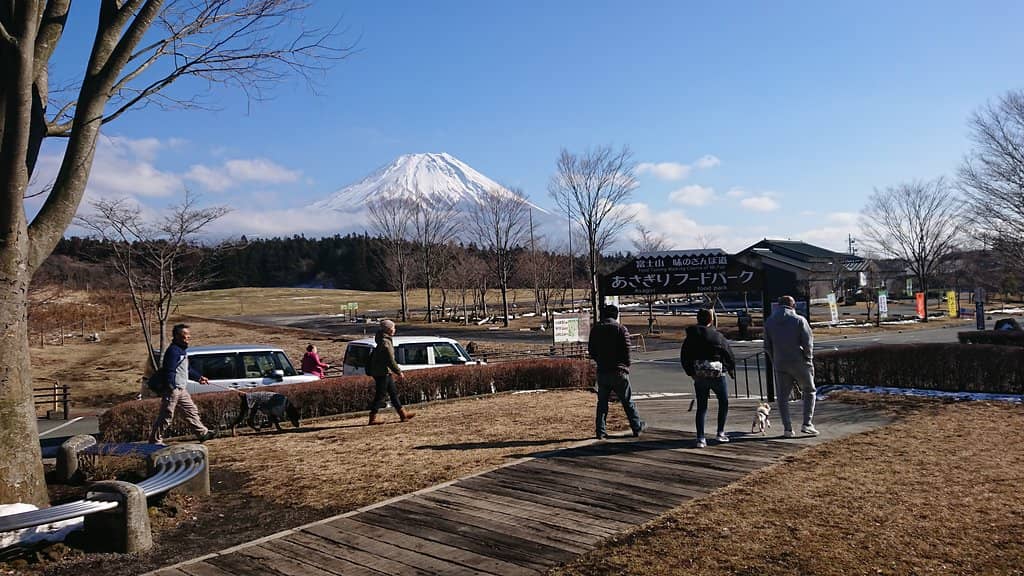 Local Delicacies & Souvenirs