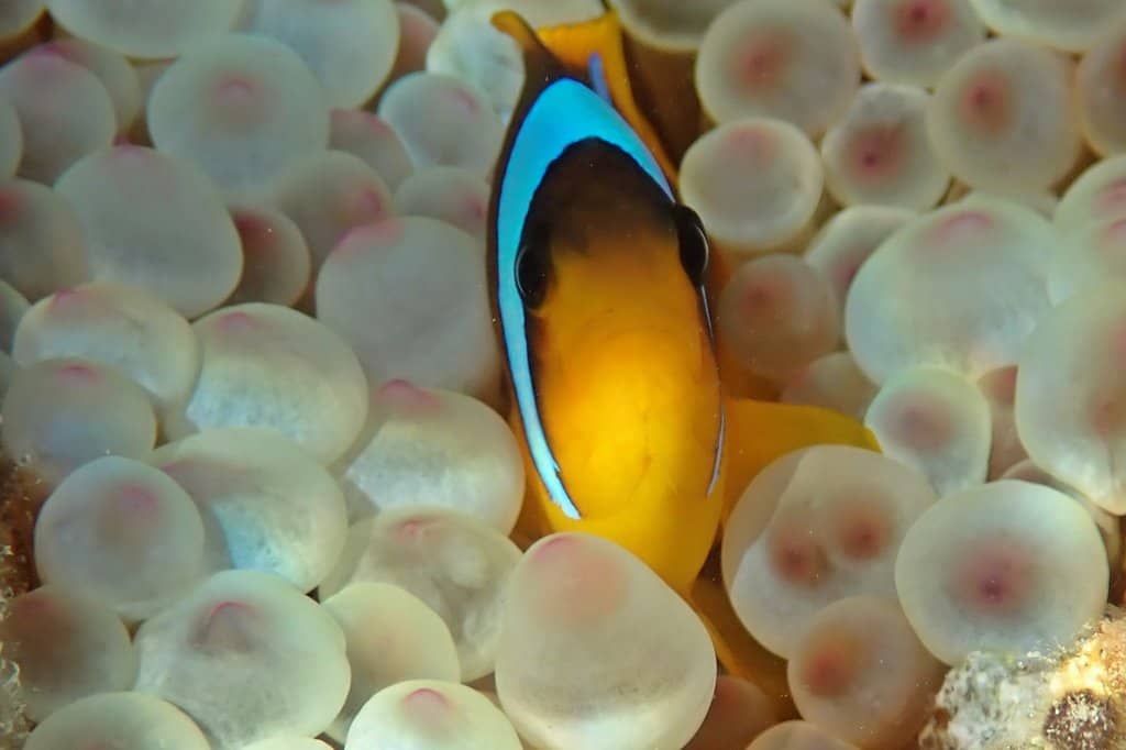 Sandy Beach & Jetty Access