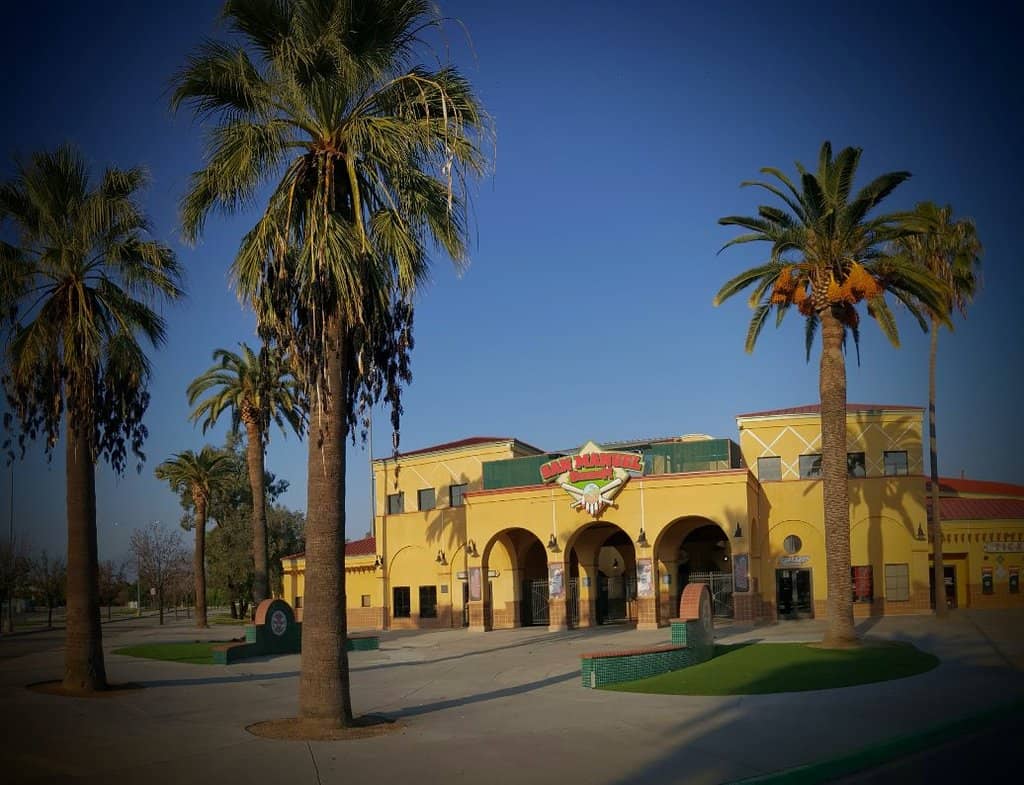 King of the Cage Fights