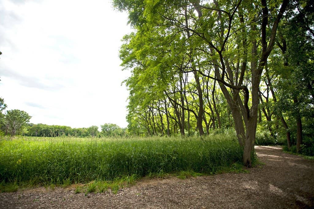 Woodland and Prairie Trails