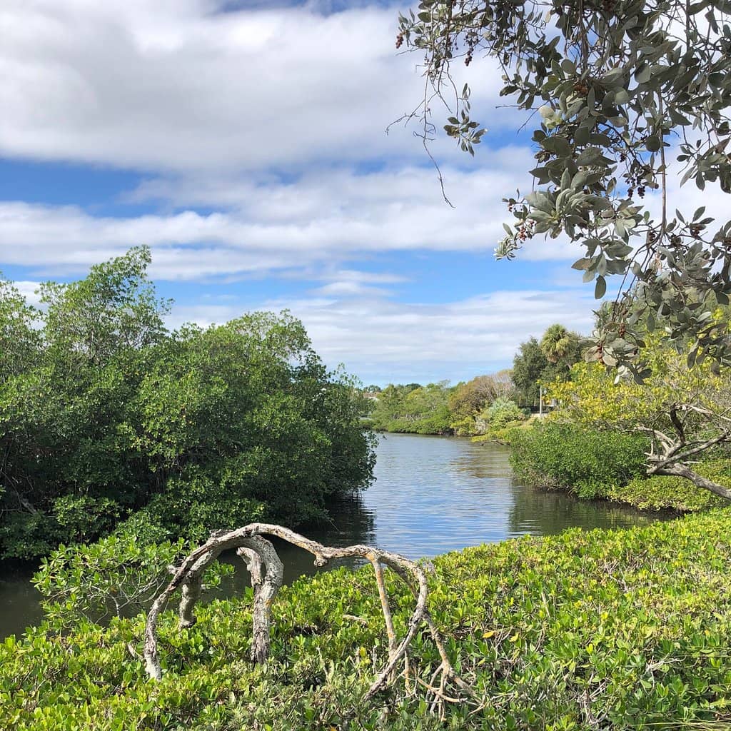 Utiki Beach Tiki Bar