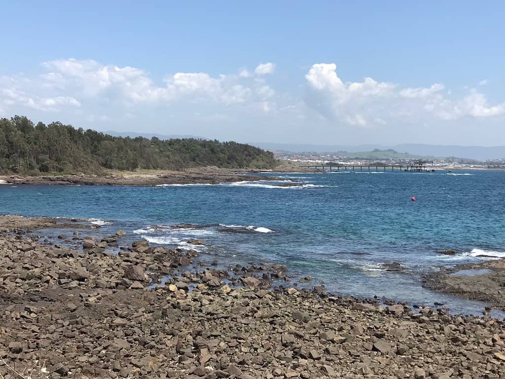 Rockpools Exploration