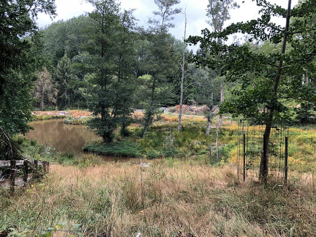 Woodland Garden Trails