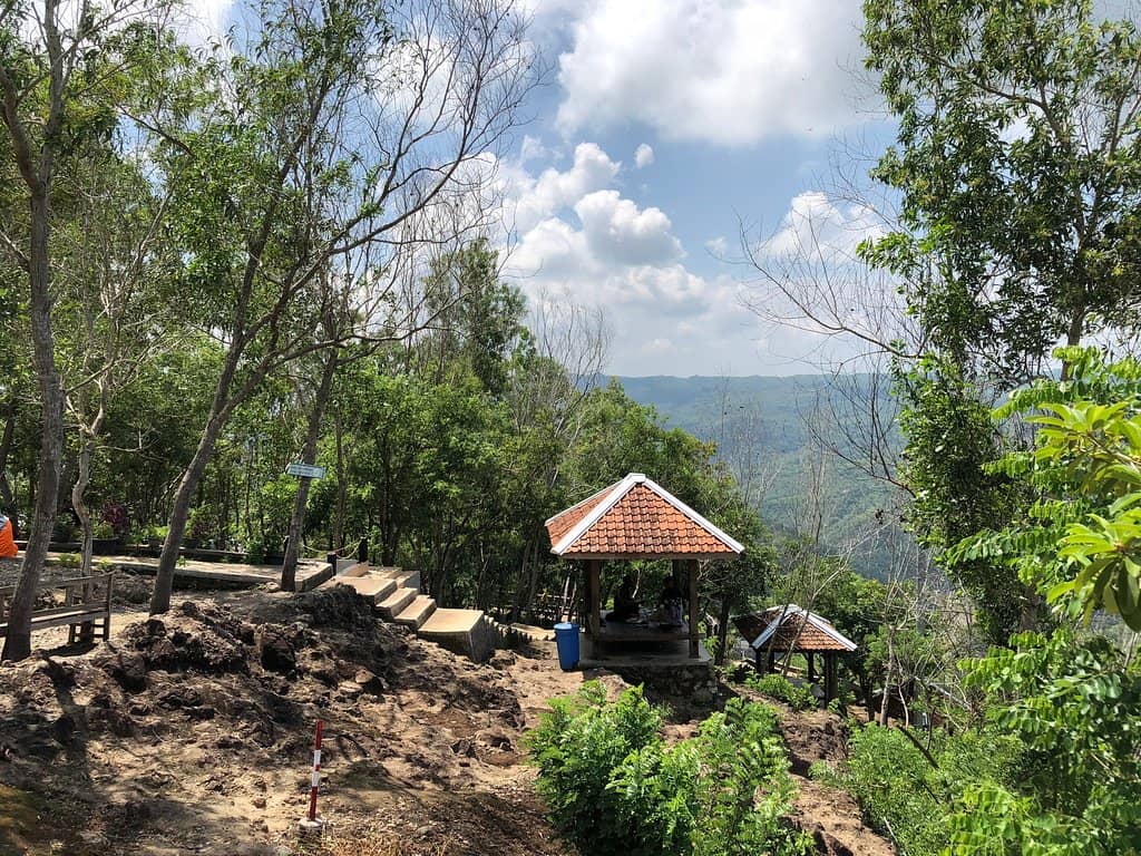 Fruit Orchard Exploration