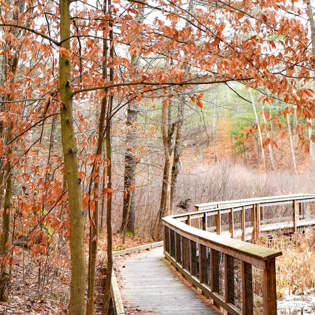 Beach and Swimming Area