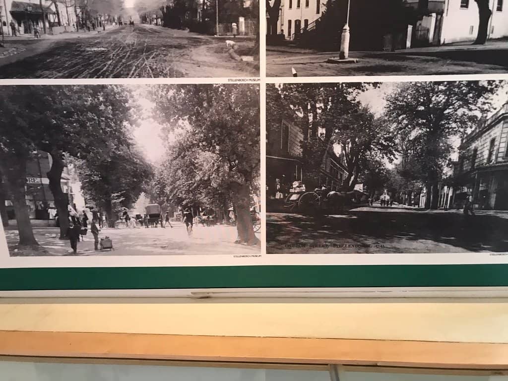 Architectural Evolution