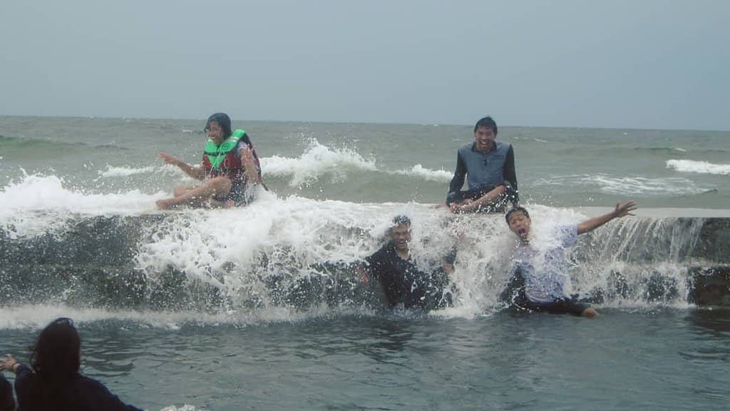 Mangrove Forest Tracking