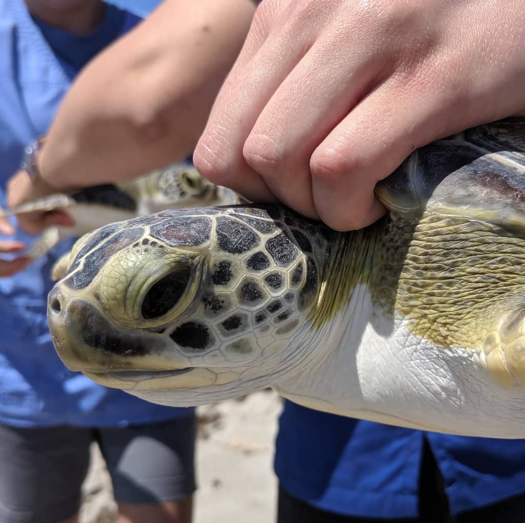 Coastal Ecosystem Aquariums