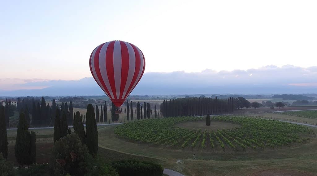 Wine Tasting Experience
