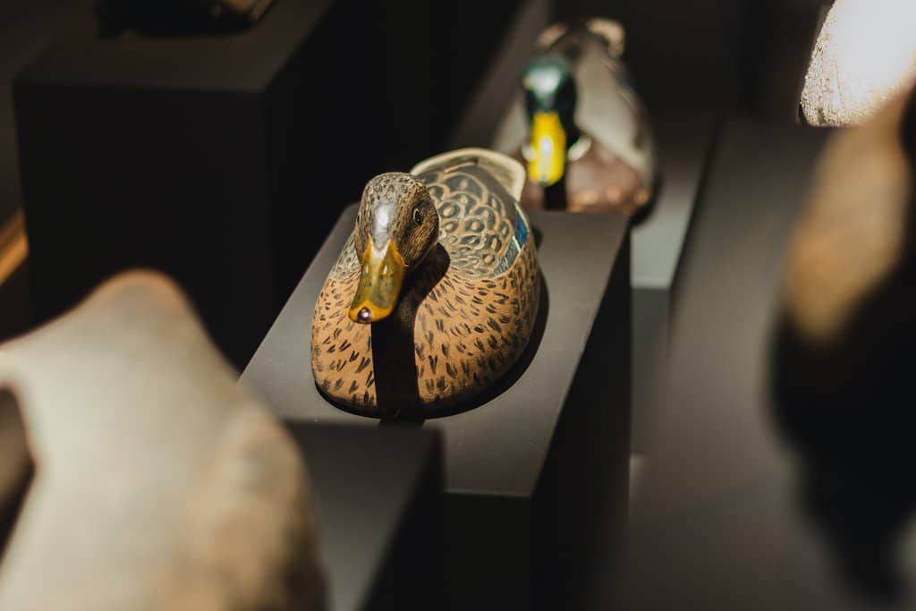 Agricultural History Exhibits