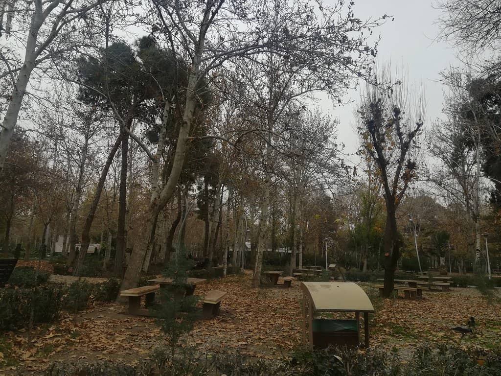 Laleh Park's Green Oasis