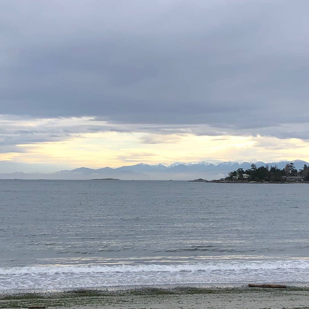 The Giant Sea Monster Playground