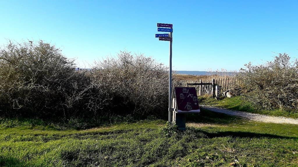 Coastal Walks & Scenery