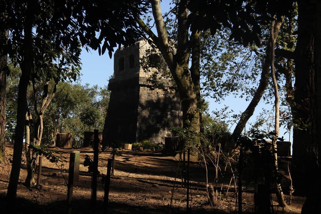 Panoramic Viewpoints