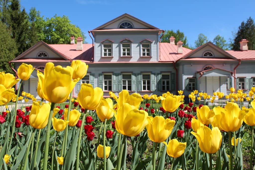 Picturesque Vorya River