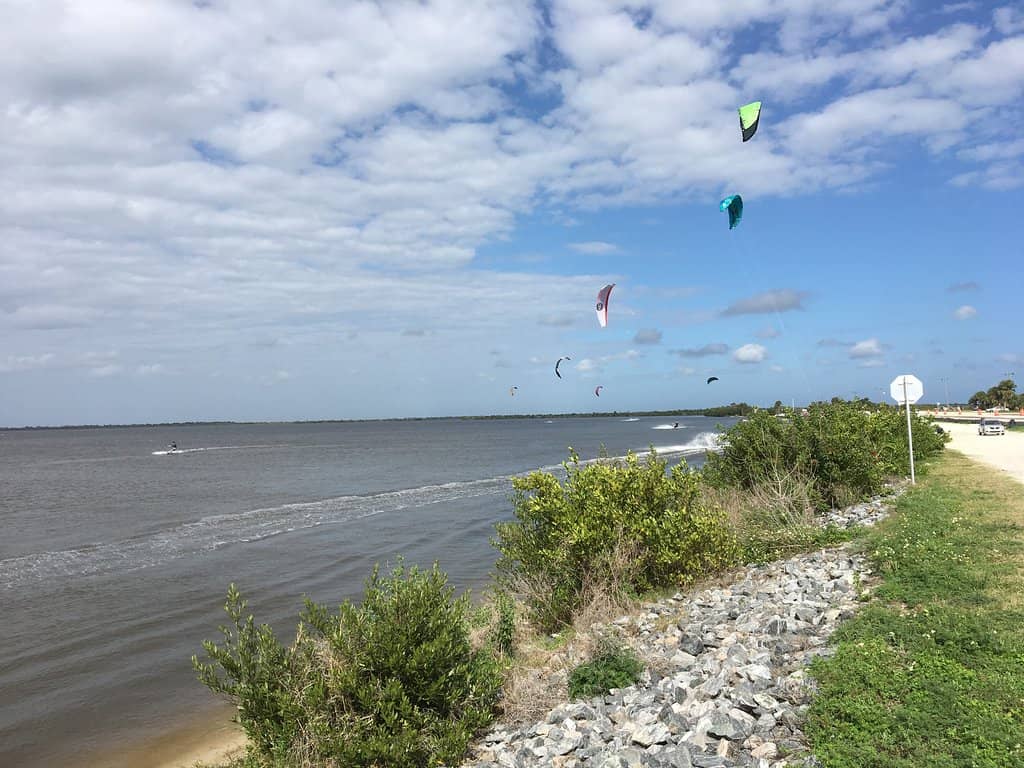 Dolphin & Wildlife Spotting