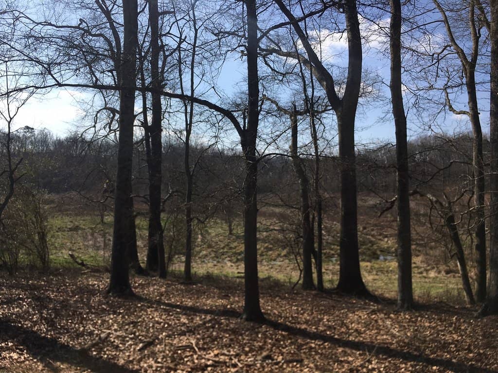 Well-Maintained Walking Trails