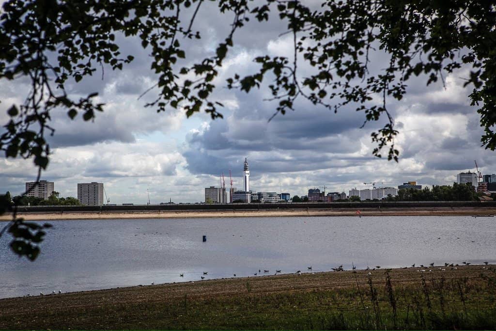 Nature and Wildlife Spotting