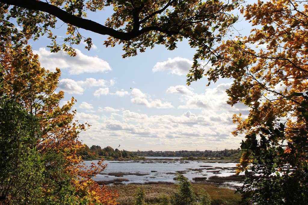 Picnic and Relaxation Spots