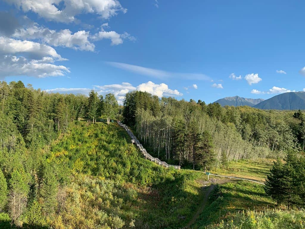 Mother's Escape Tale