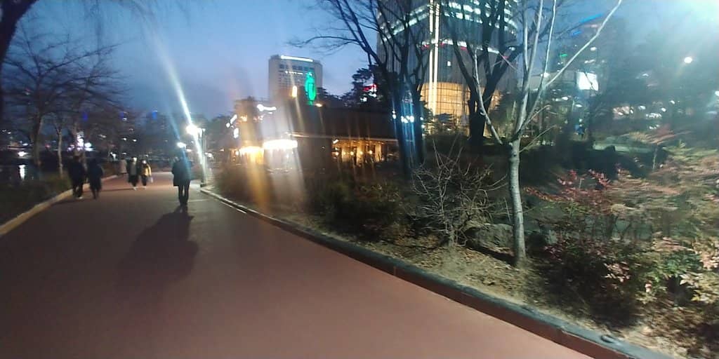 Cherry Blossom Spectacle