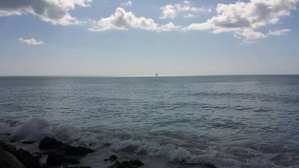 Shark Tooth Paradise