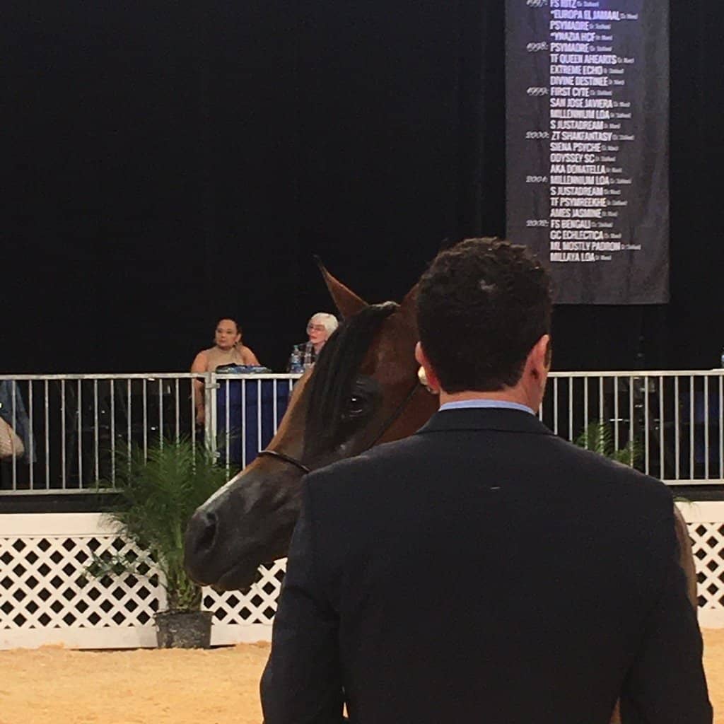 Scottsdale Arabian Horse Show