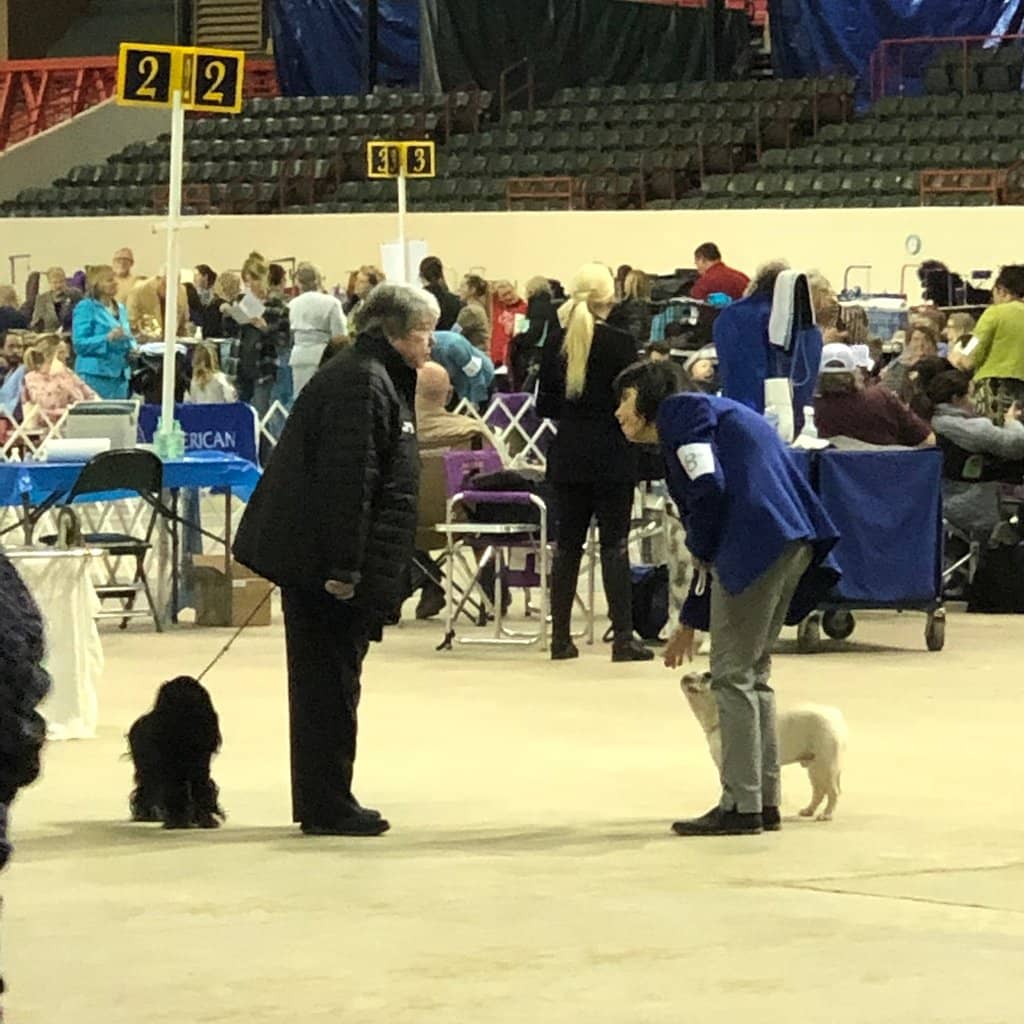 Tractor Pulling Events