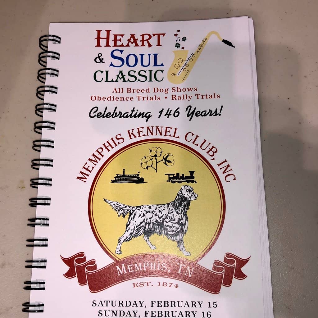 Concerts & Live Music