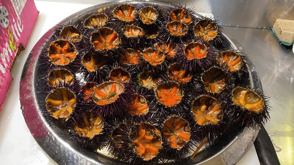 Generous Portions of Fresh Seafood