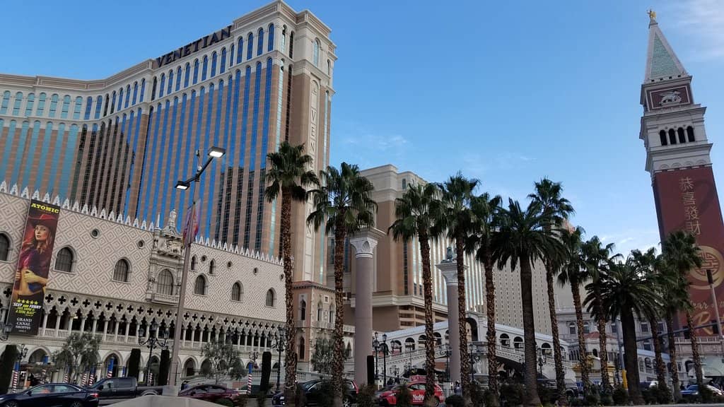 Serenading Gondolier