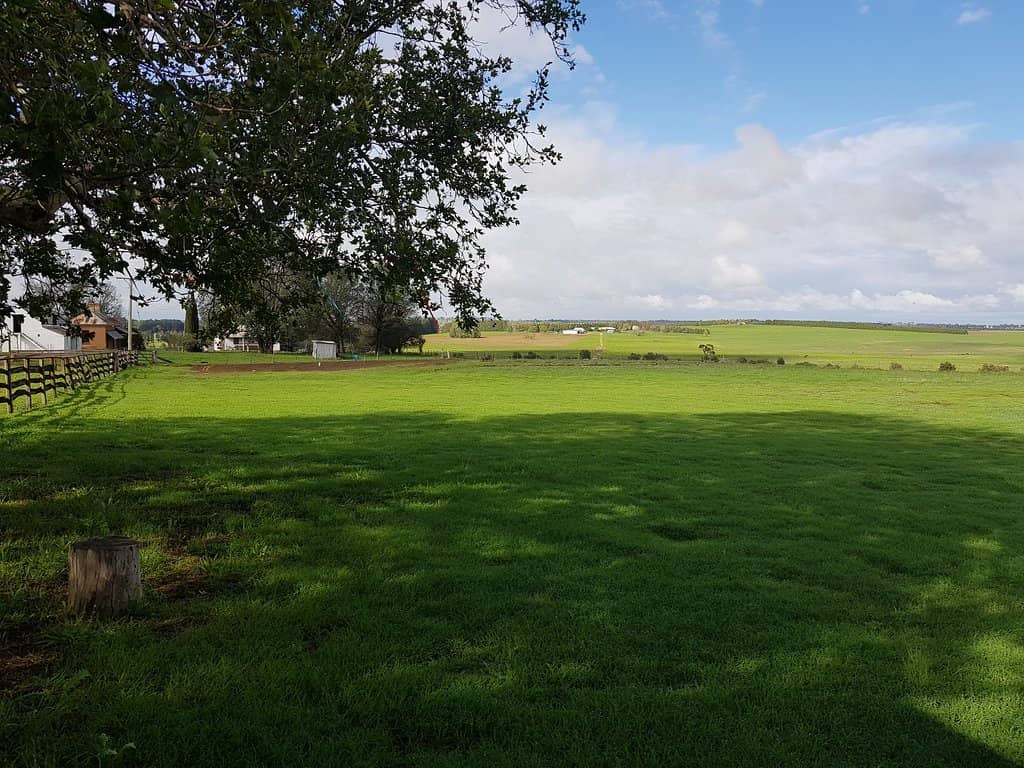 English Style Gardens