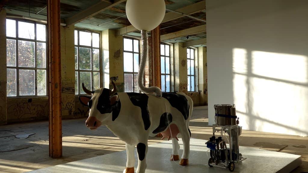 HALLE 14 Contemporary Art Center