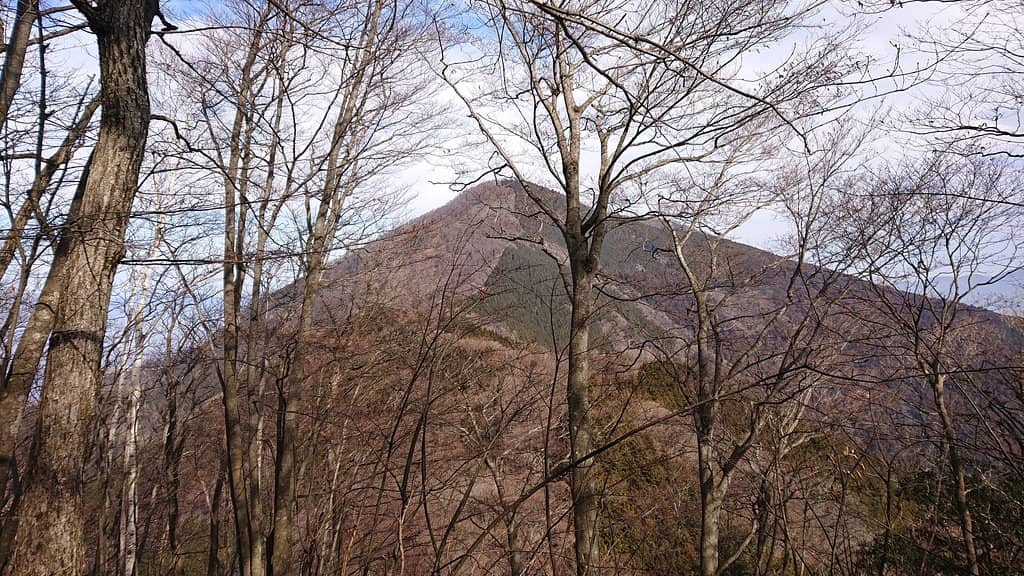 Historical Significance