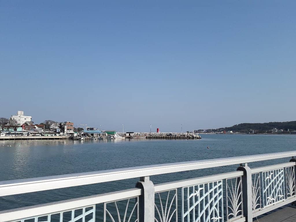 Greetvi Ilgwang Cafe