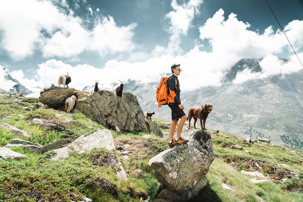 Sunnegga 'Sunny Corner'