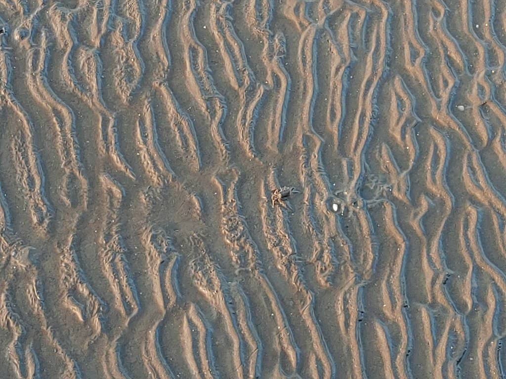Coastal Boardwalk & Bike Trail
