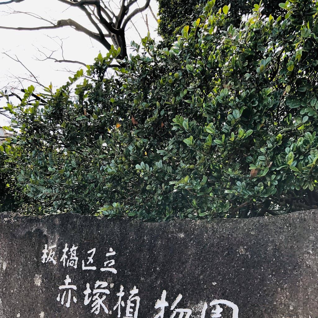 Informative Plant Signage