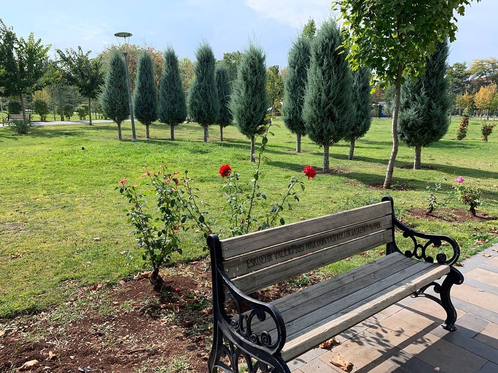 Scenic Walking Paths