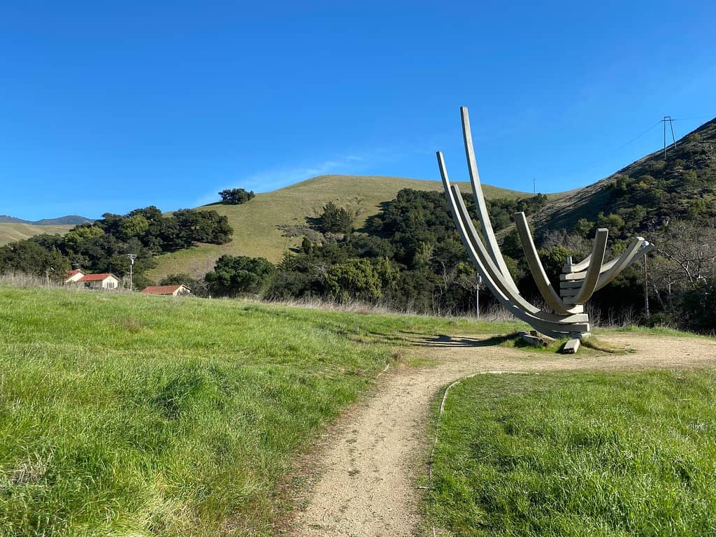 Student-Led Ventures