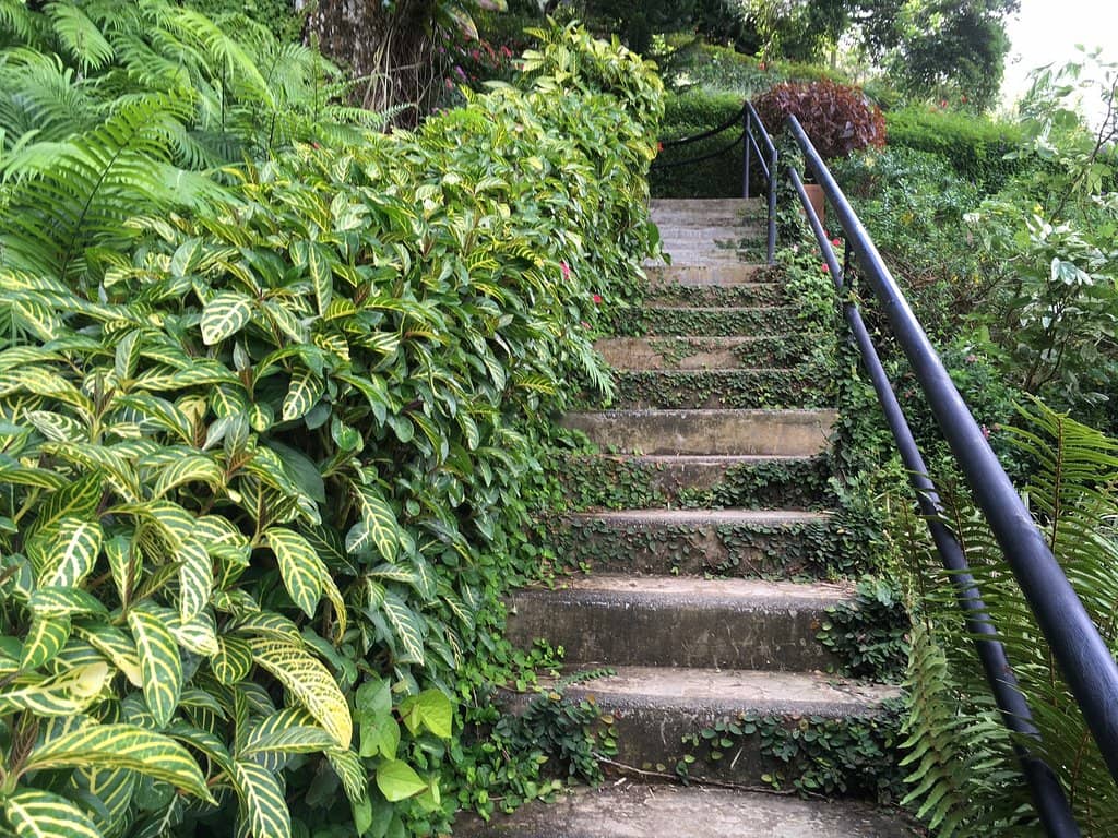 Flower Arches & Waterfalls