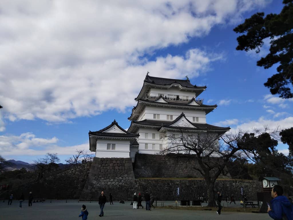 Hydrangea and Iris Festival