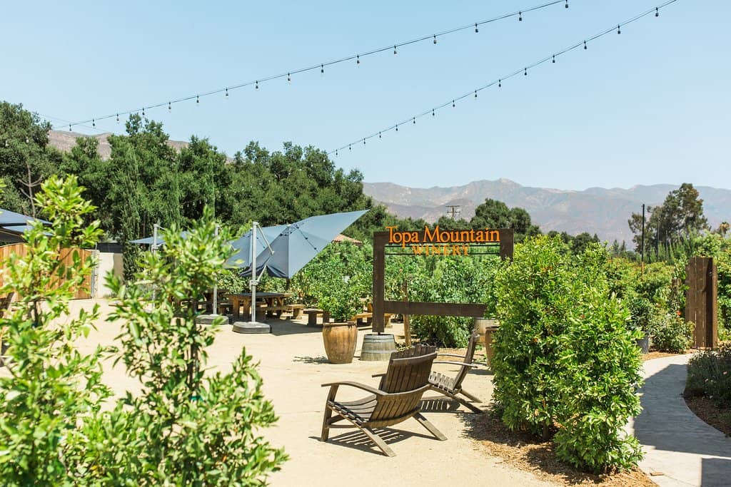 Wine Tasting Experience