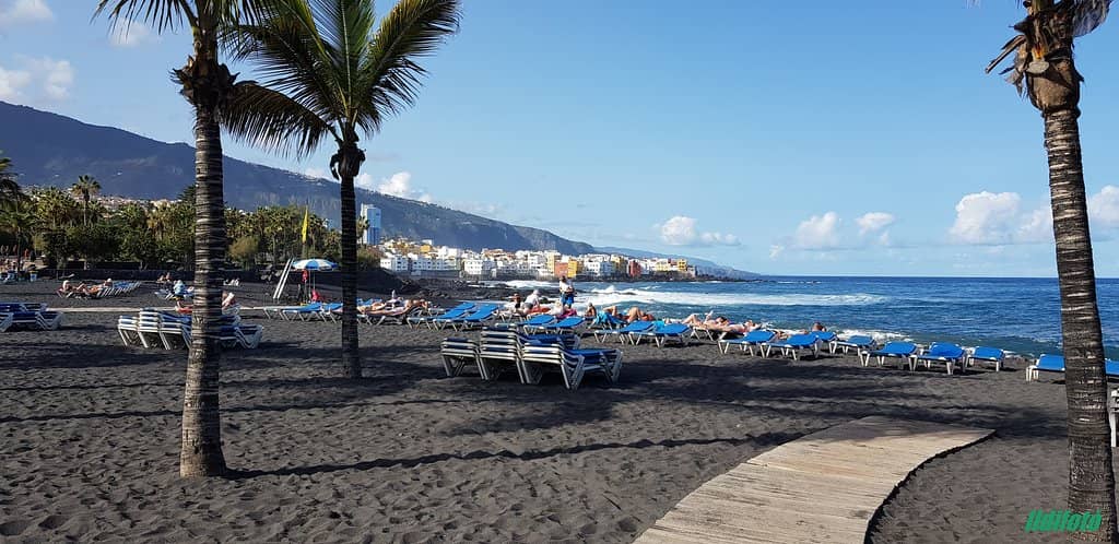 The Lush Botanical Gardens