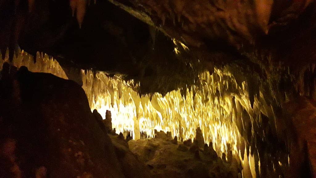 Scenic Peninsula Walk